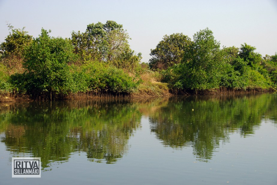 Goa India, Chapora River (77)