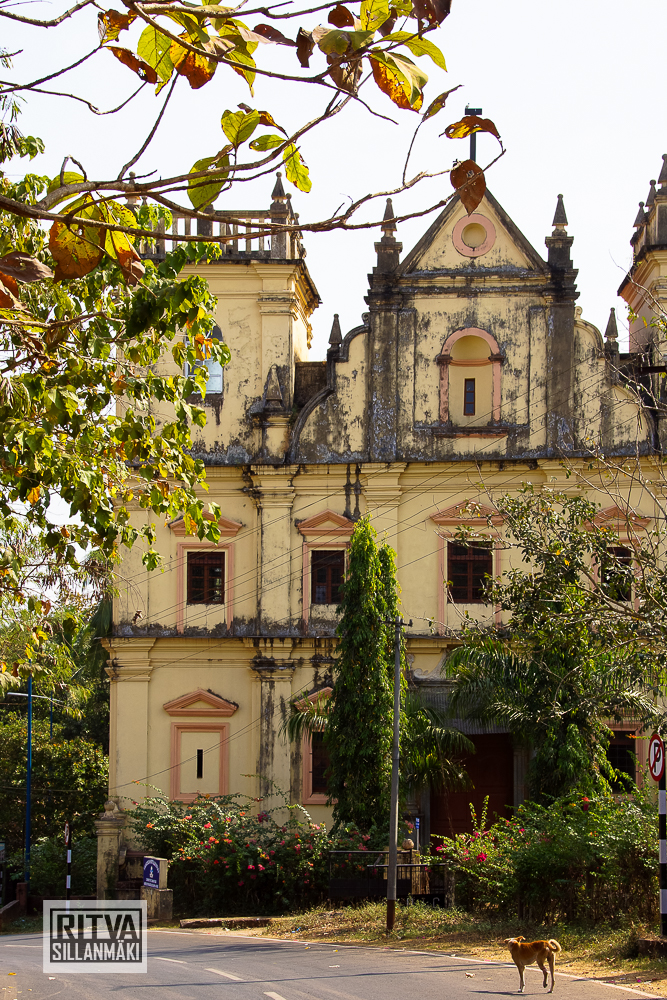 Ruins of St Augustine (3 of 36)