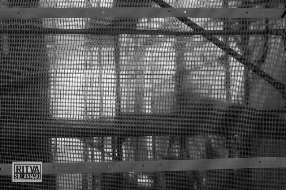 straight - Ritva Sillanmäki (4 of 4)