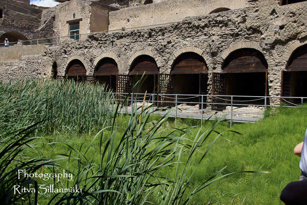 Herculaneum (15 of 142)