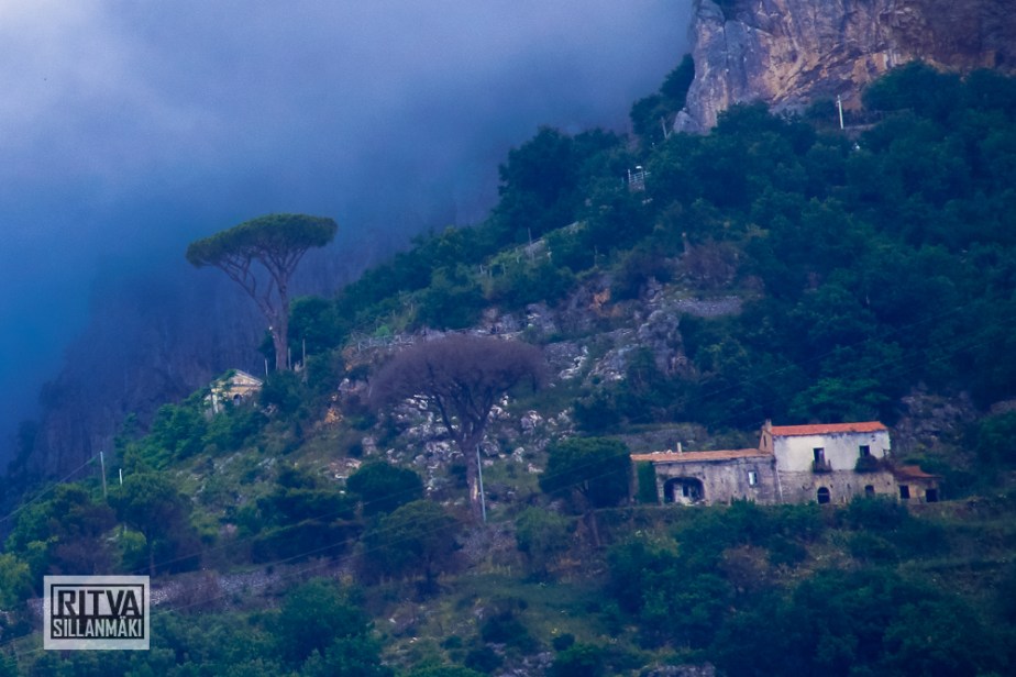 house on a hill  (1 of 1)-3