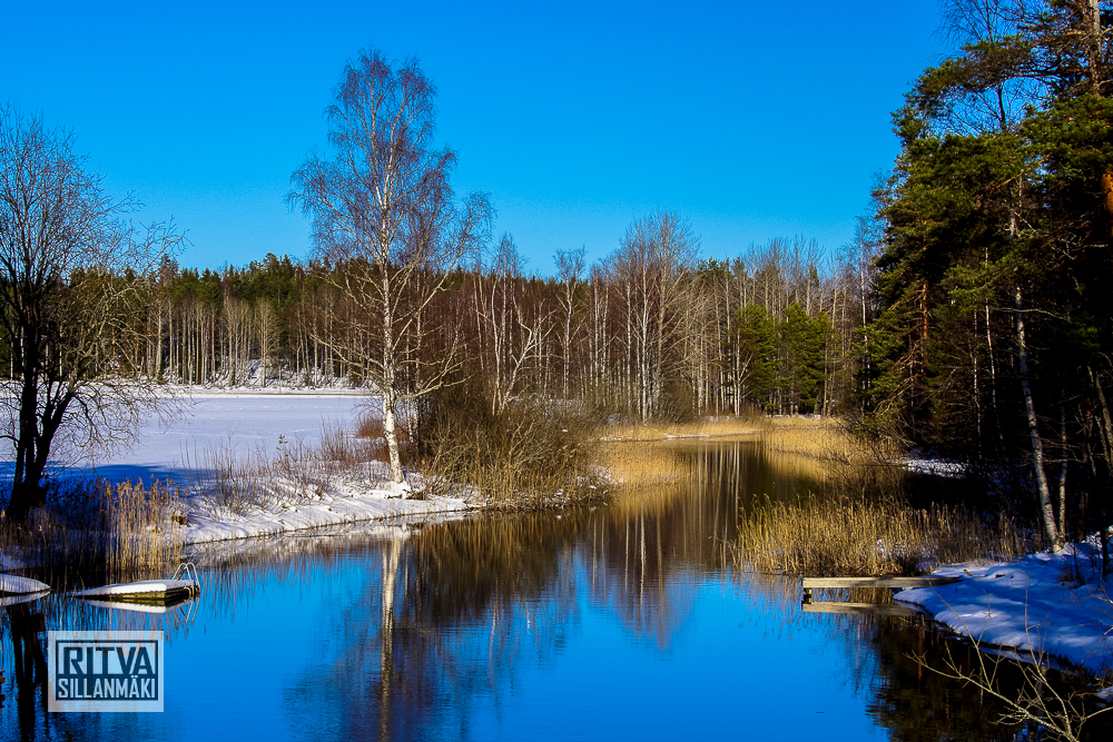 Salajoki creek (15)