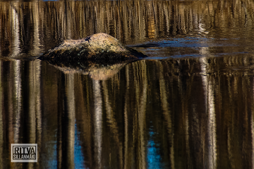 seppälän ranta-01290-2