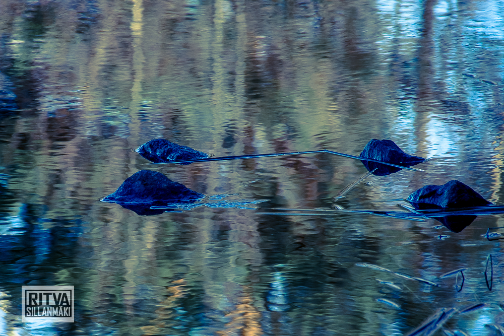 seppälän ranta-01296-2