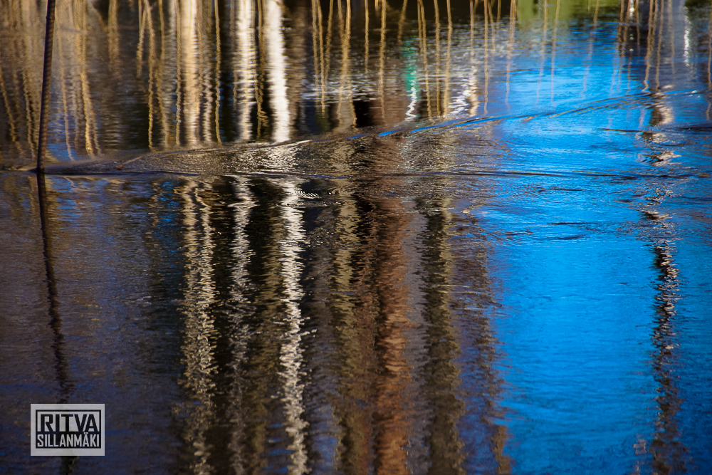 seppälän ranta-01302