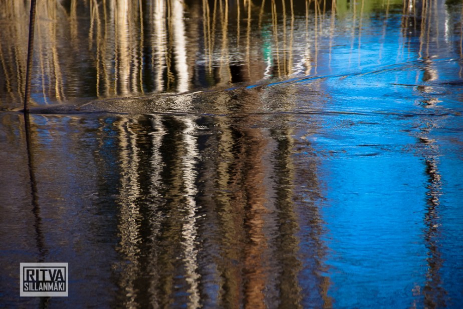 seppälän ranta-01302