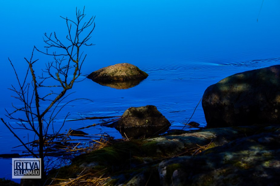 seppälän ranta-01304