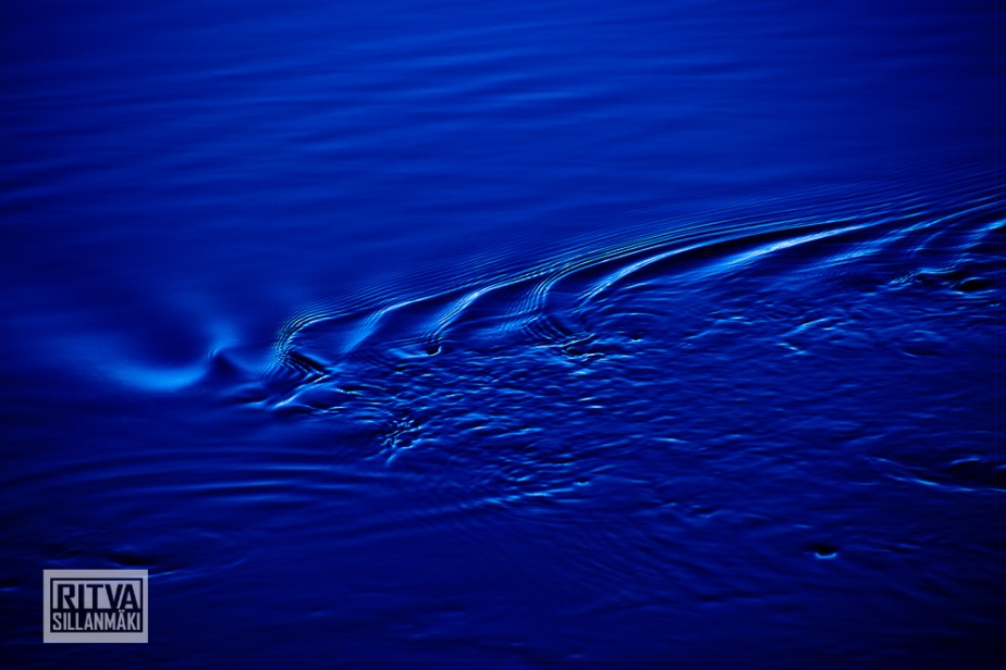 seppälän ranta-01313