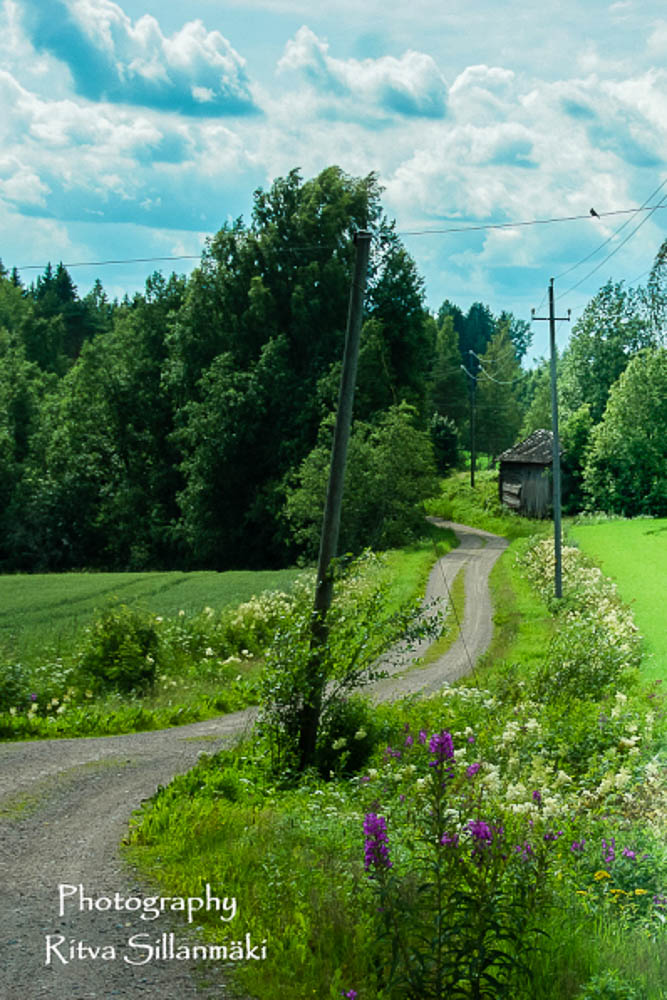 country road (1 of 1)