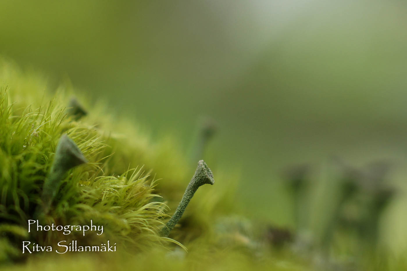 micro world-30 – kopio