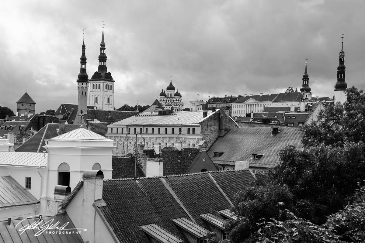 roof-tops-of-tallinn-5