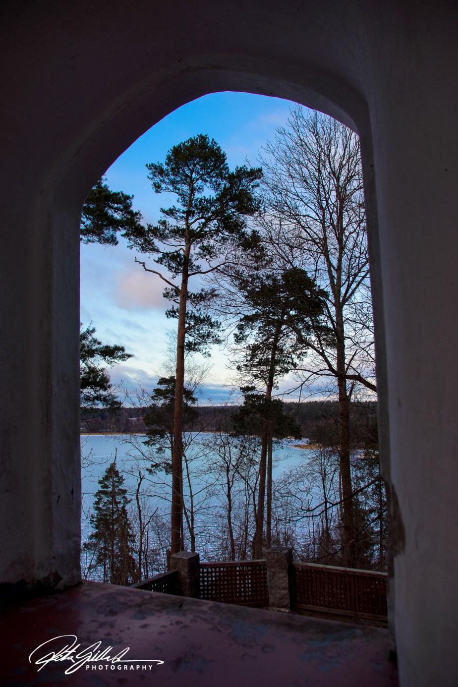 Sunset Views and Forest&nbsp;Silhouettes