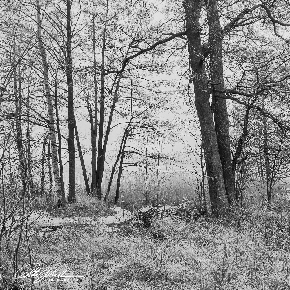 misty-morning-by-thye-sea-ritva-sillanmaki