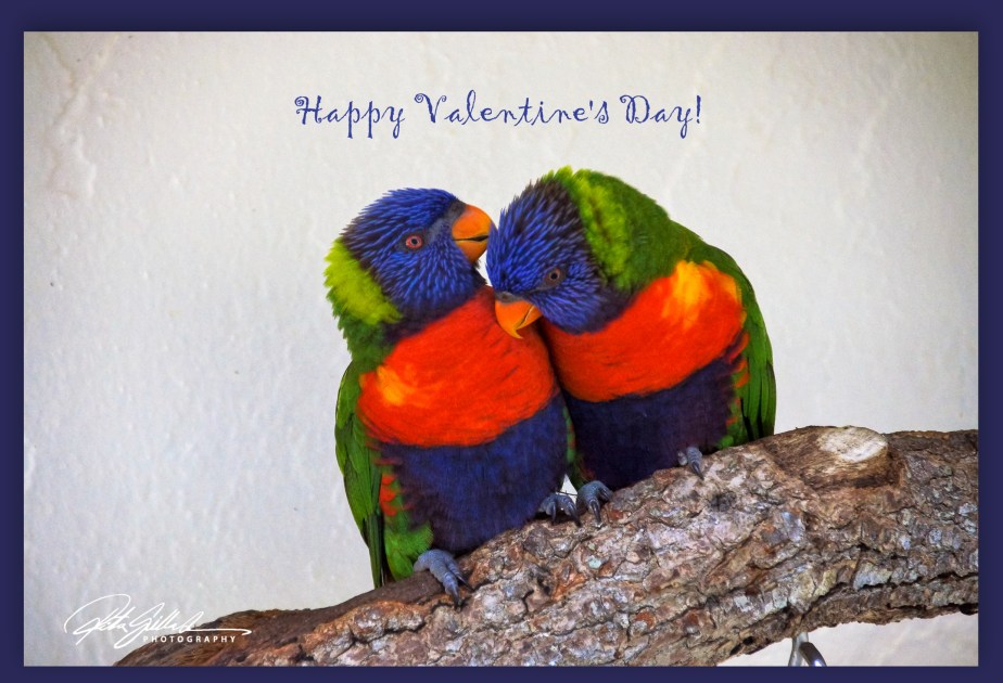 happy valentines day 1.jpg