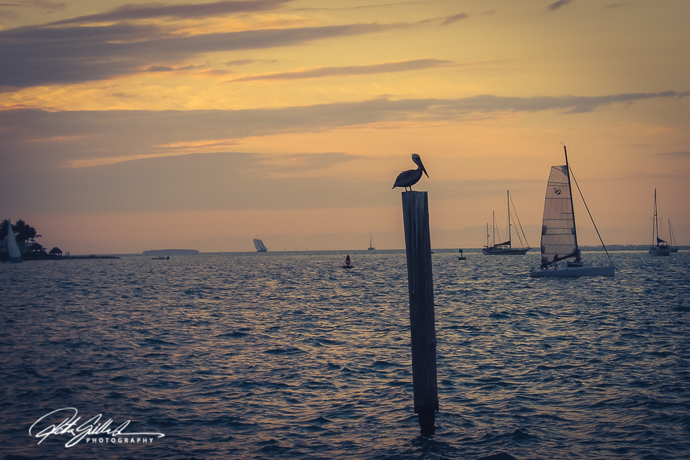 sunset-at-key-west-18