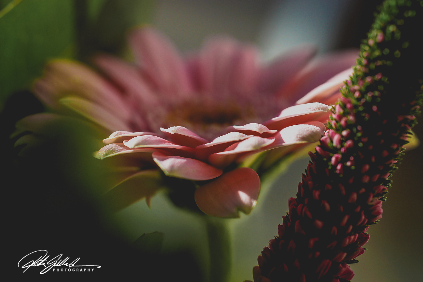 2017-03-11 (60 of 103)