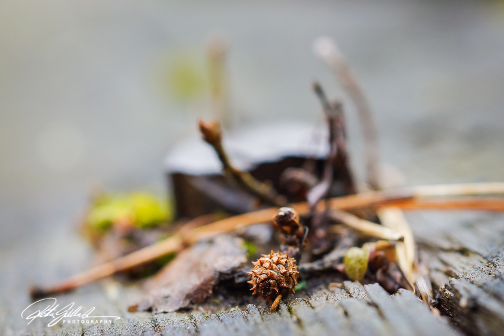 Bolt - Ritva Sillanmäki (5 of 10)