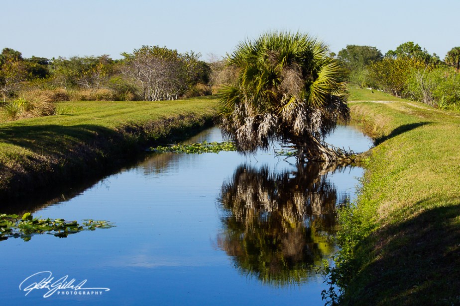 Wakodahatchee Wetland (92 of 154)