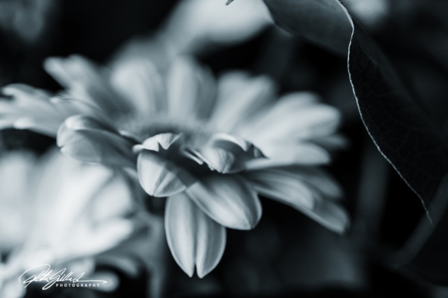 weekend bouquet (4)-2