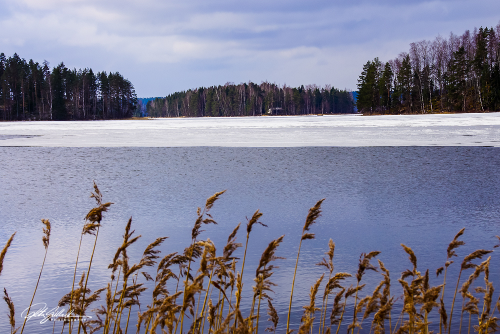 April16th (25 of 91)