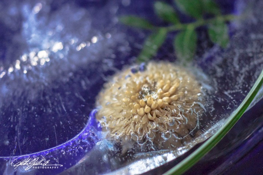 How to Survive November 2025 –&nbsp;22