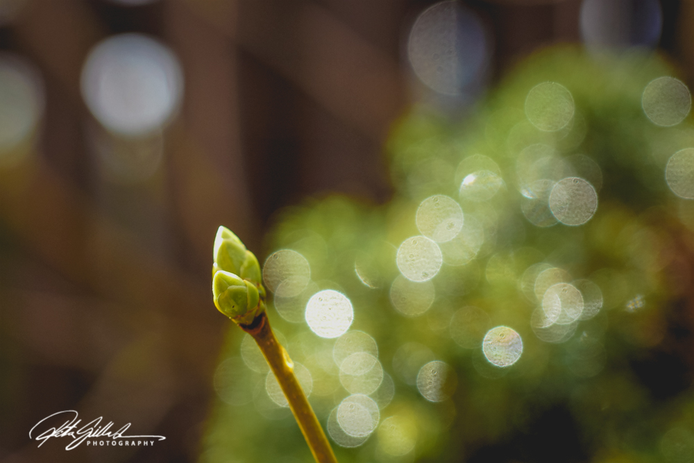 street photography (1 of 1)-7