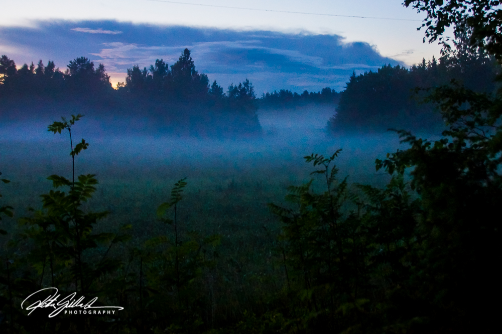 countryside (14 of 42)