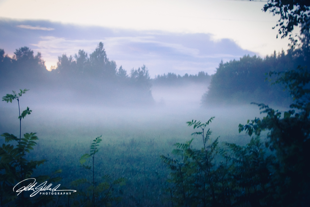 countryside (15 of 42)