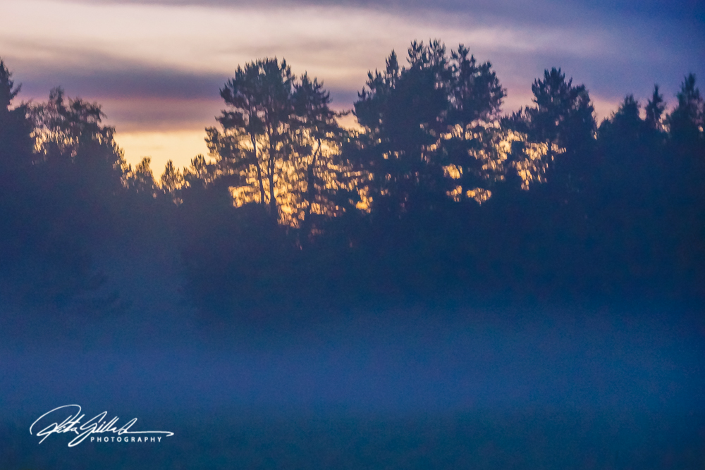 countryside (18 of 42)