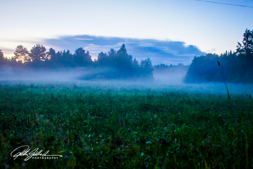 countryside (25 of 42)