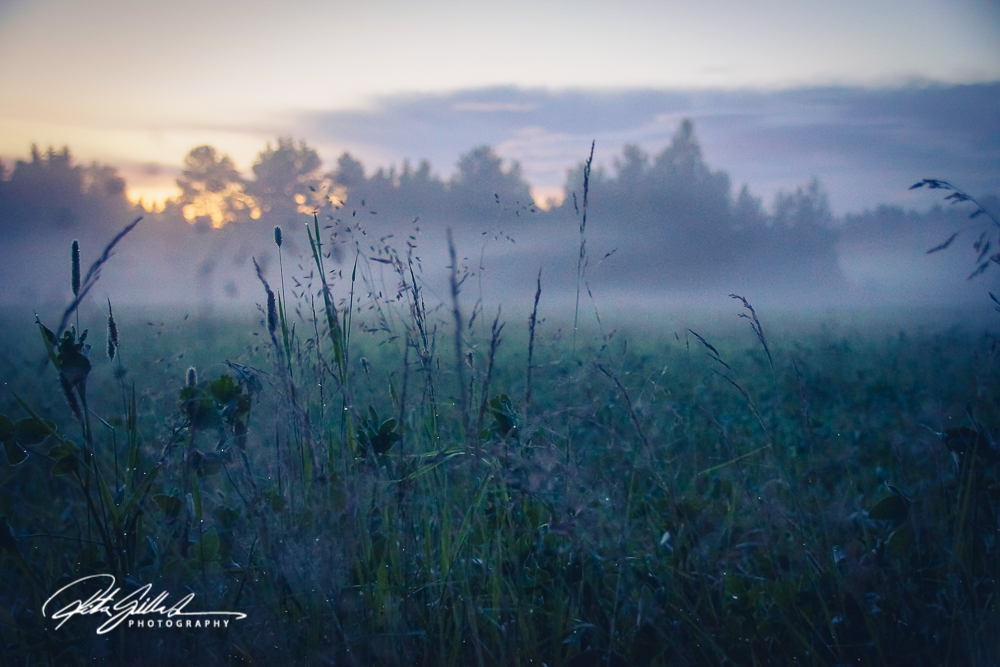 countryside (27 of 42)