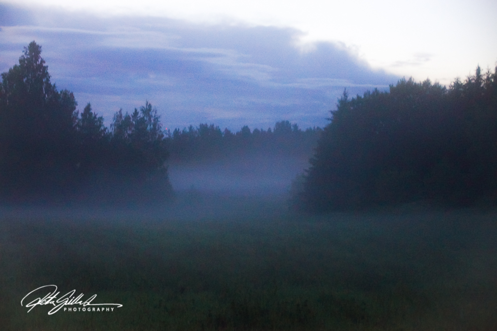 countryside (29 of 42)