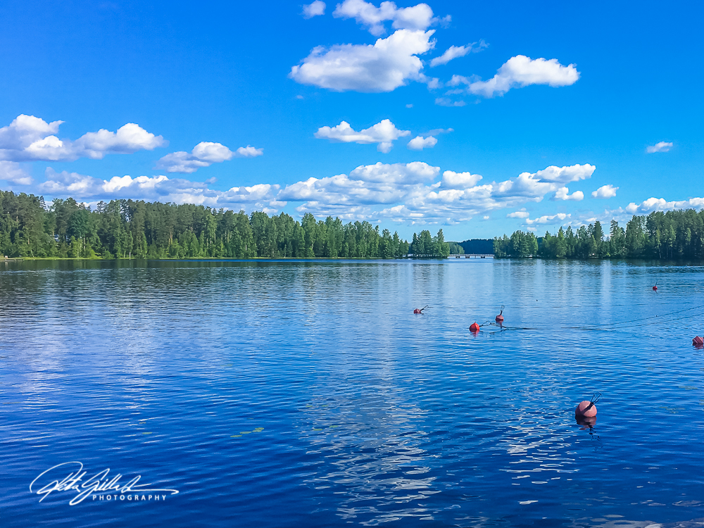 Fields web (7 of 17)