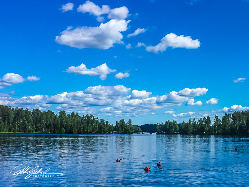 Fields web (8 of 17)