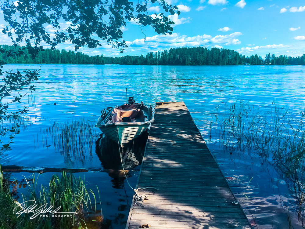 Fields web (9 of 17)