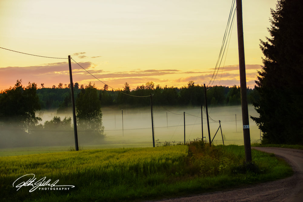sunset and mist-04369