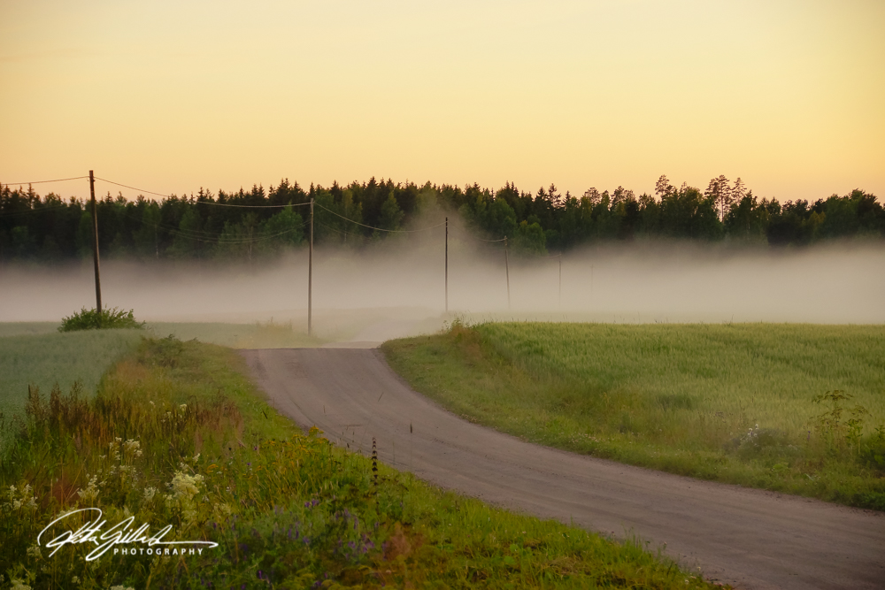 sunset and mist-04371