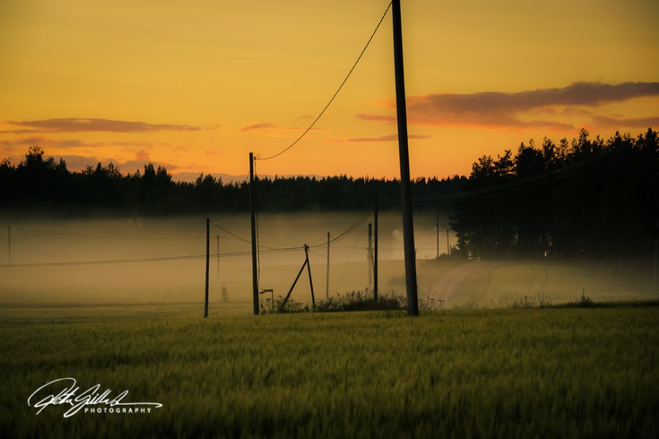 sunset and mist-04374