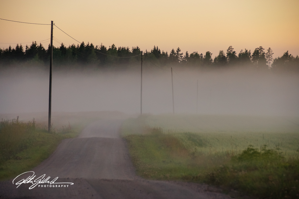 sunset and mist-04406