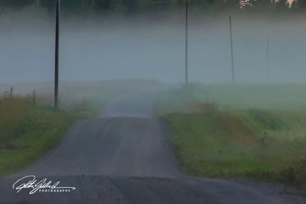 sunset and mist-04407