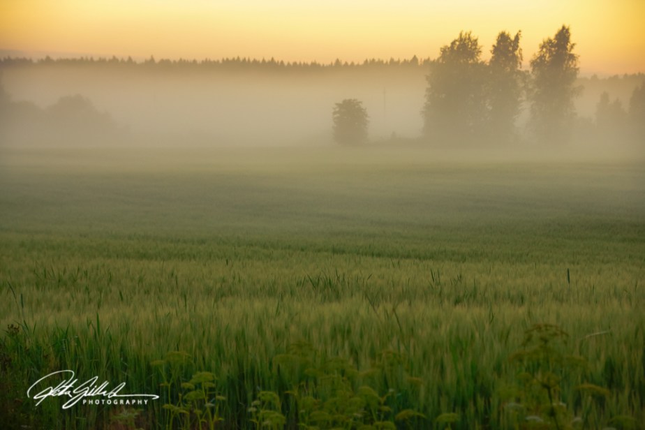 sunset and mist-04422