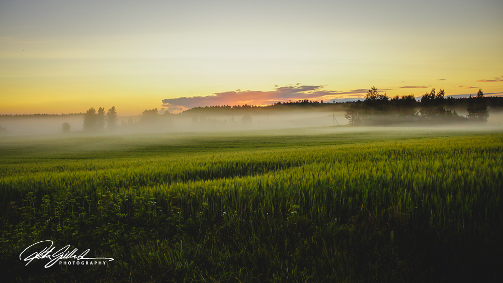 sunset and mist-04434