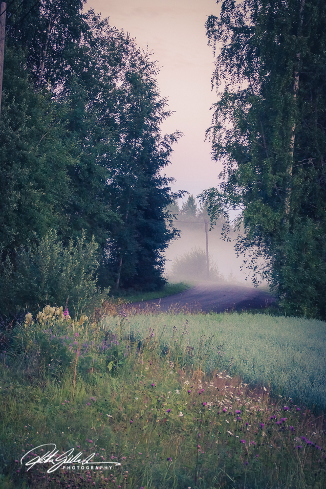 sunset and mist-04471