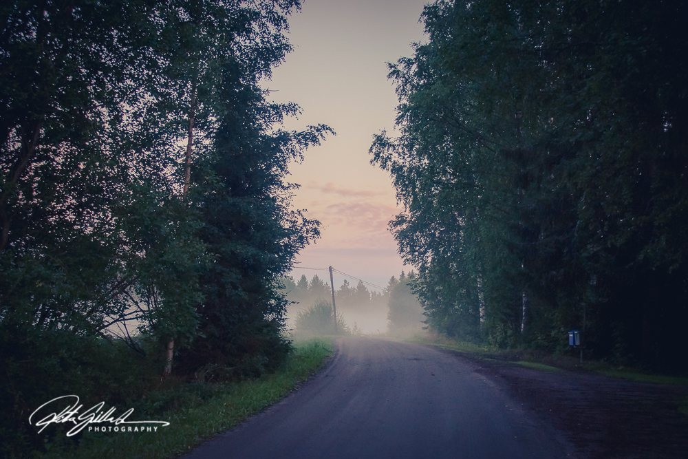 sunset and mist-04475