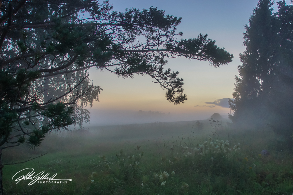 sunset and mist-04495