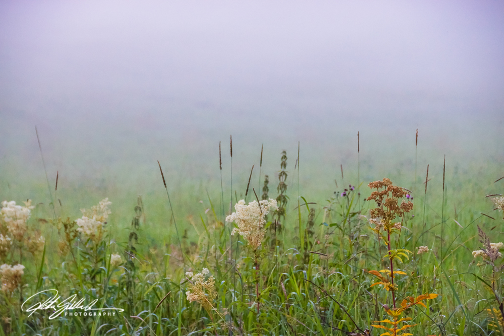 sunset and mist-04503