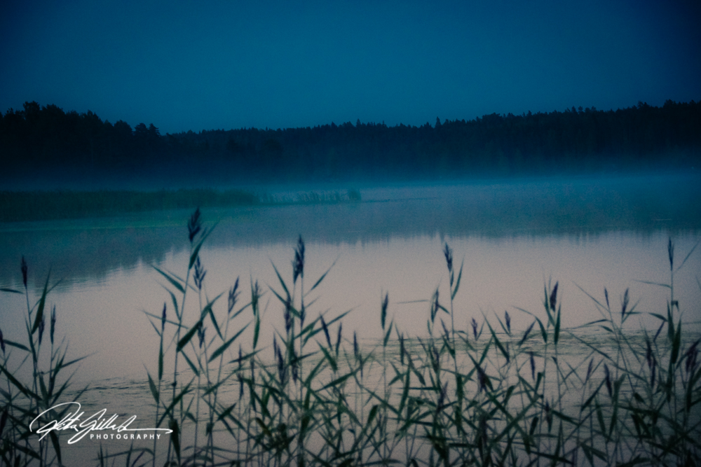 sunset and mist-04588