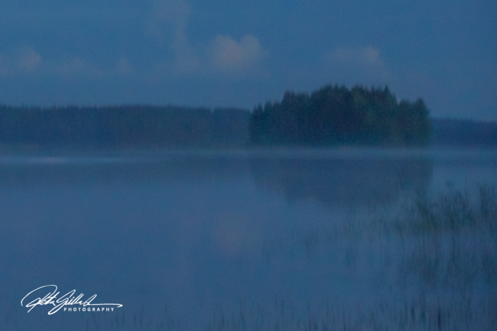 sunset and mist-04590