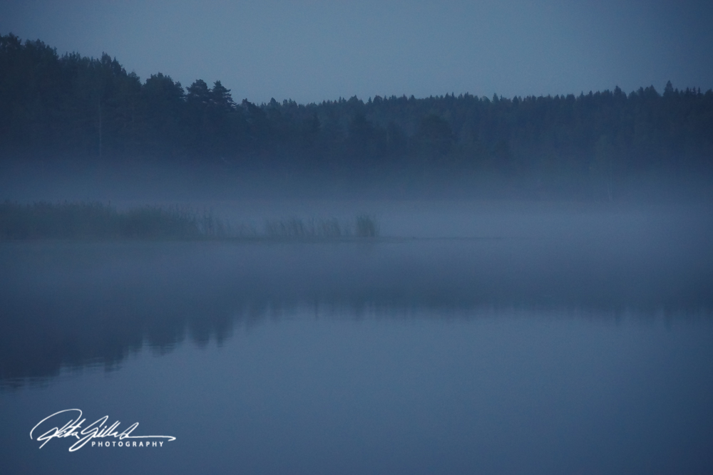 sunset and mist-04613