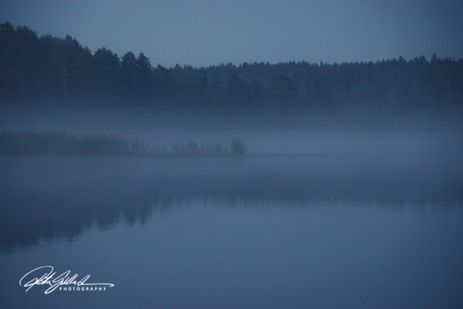 sunset and mist-04613